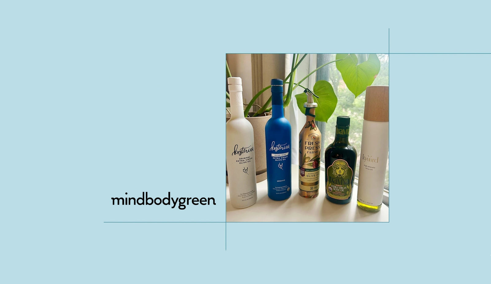 Featured in mindbodygreen: DAMYA Recognized Among the Best High-Polyphenol Olive Oils
