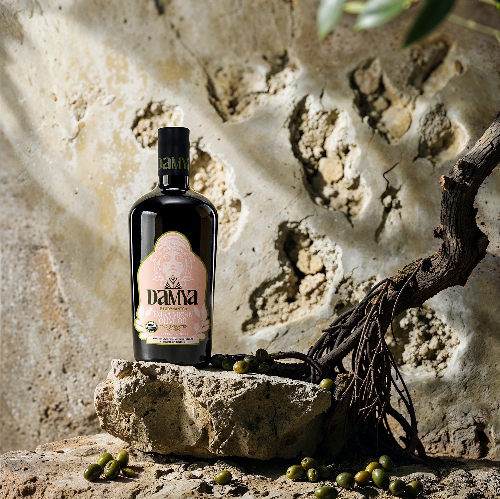 The highest standard of sustainable farming · Damya, Massiva LLC