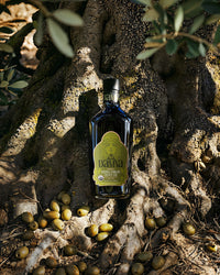 Damya Robust Organic Extra Virgin Olive Oil