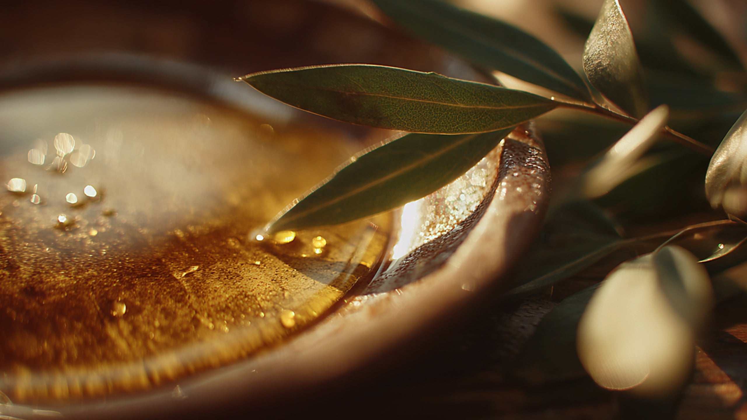Organic Extra Virgin Olive Oil | DAMYA Tunisia · Damya, Massiva LLC